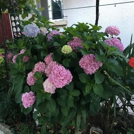 къща йорданови Pensjonat 3*